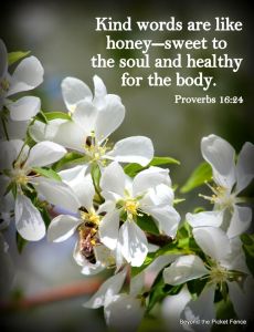 4a86b05d133f07ee86faa2b270403435