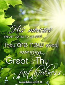 4464e5b4a8339ba3c3667f4b861bcc23