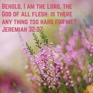 270ec2d470fa63232f66b032a496ccc7