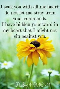 0a3cfd2fb31f9a03d2e045e10816f577