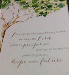 WIN_20160330_072225 (2)